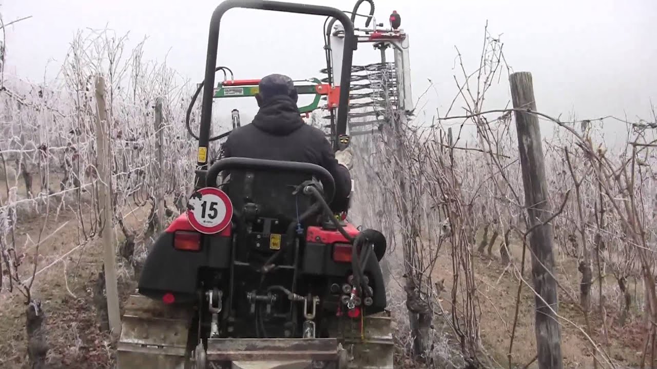 PREPOTATRICE COLOMBARDO