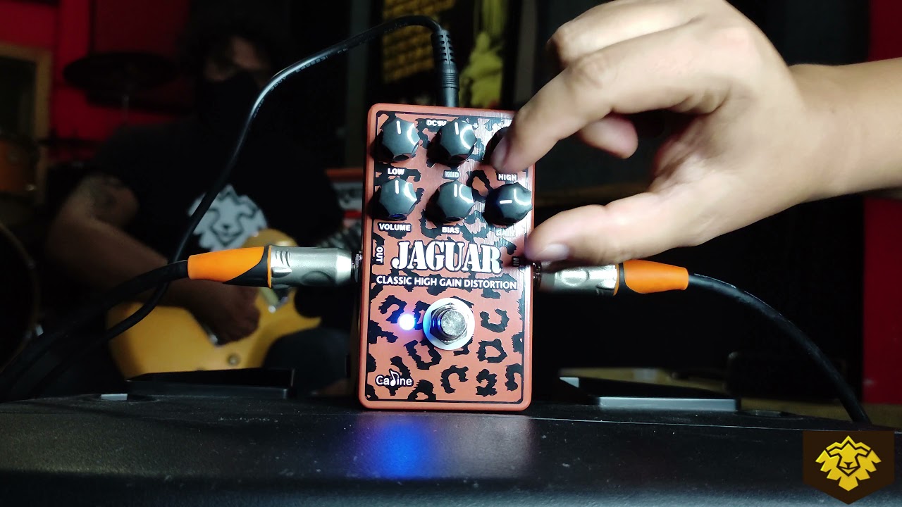 JAGUAR PEDAL CALINE en español #CALINEPEDALS
