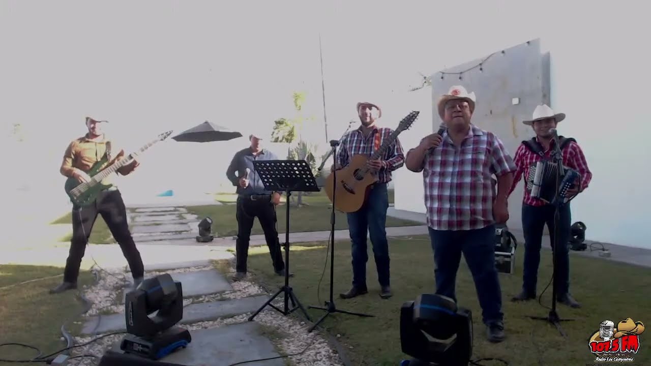 Los POLLUELOS Musicales en Vivo 2023