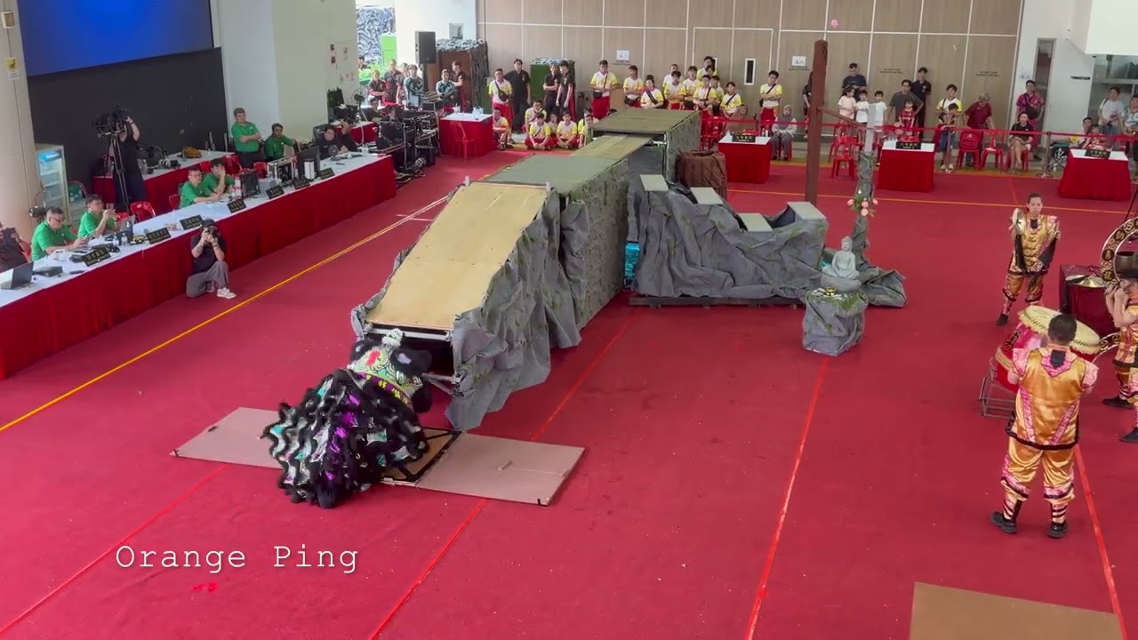 狮城劲勇龙狮院 Shi Cheng Jin Yong Dragon And Lion Dance Centre 8.41