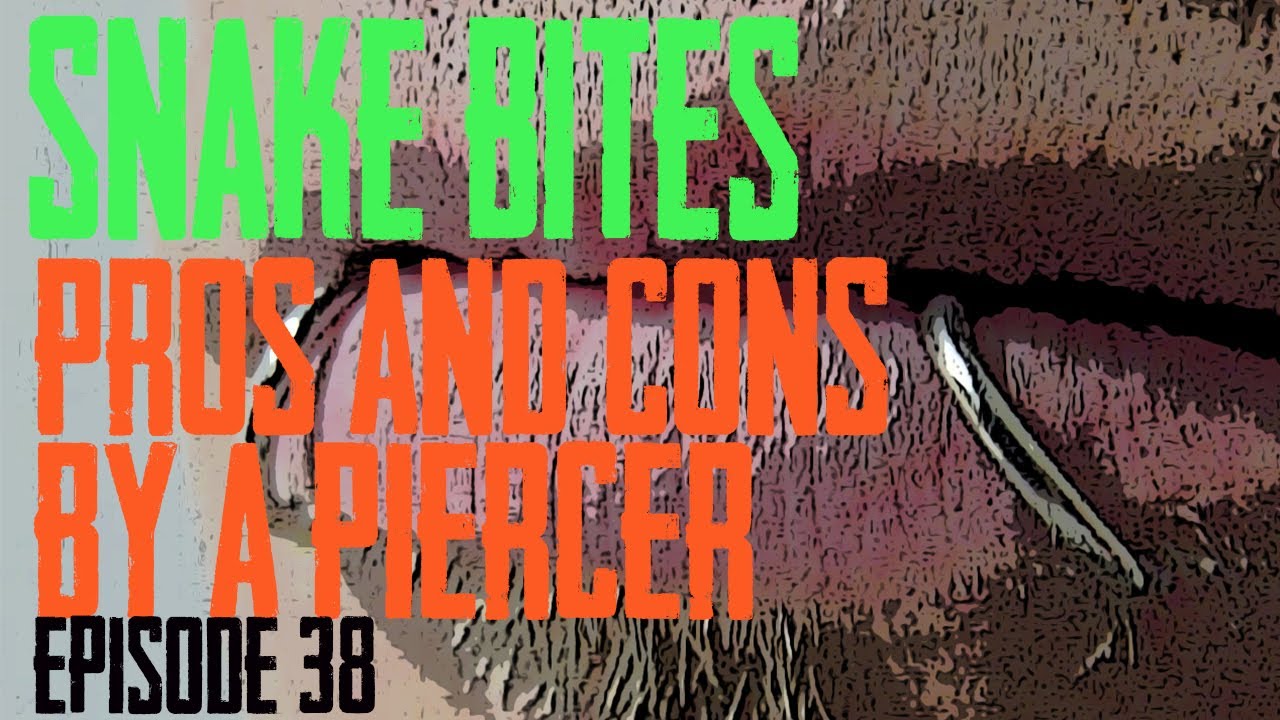 Snake Bite Piercings Pros & Cons by a Piercer EP 38