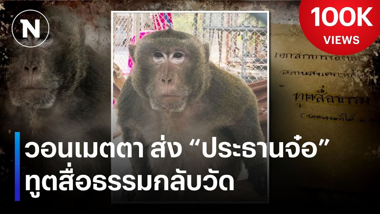 วอนเมตตา ส่ง 