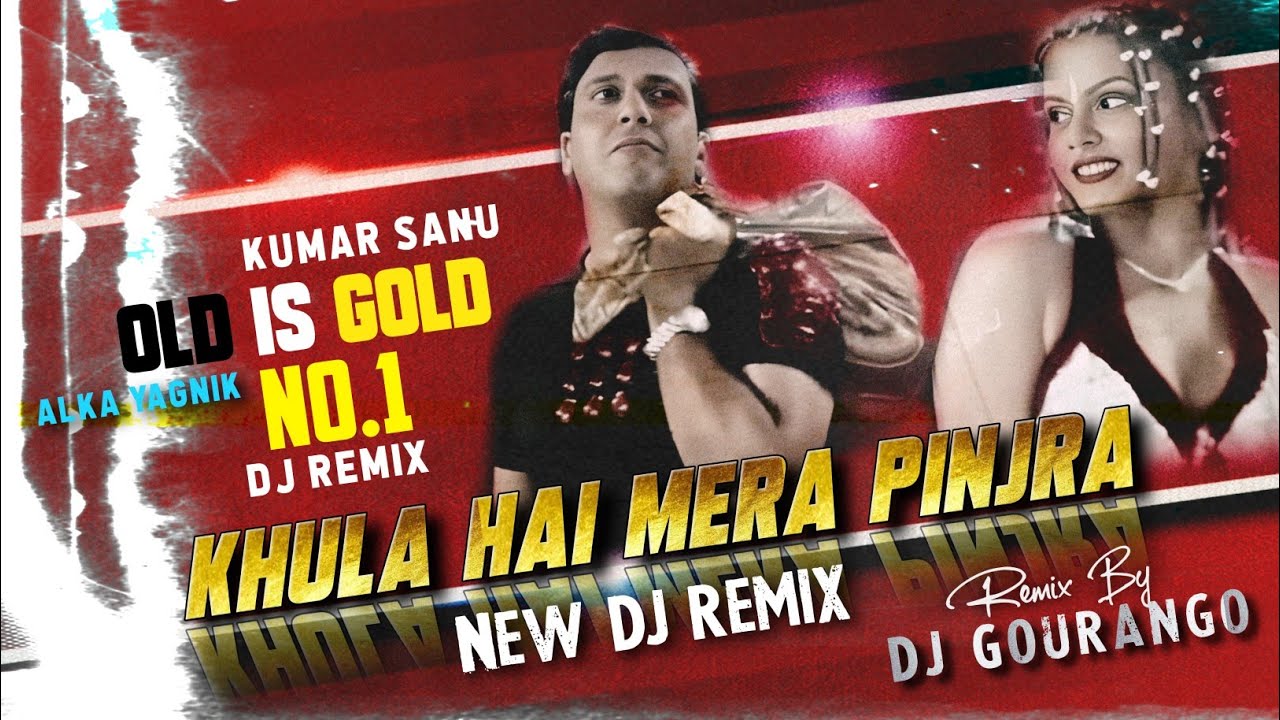 Khula Hai Mera Pinjra New Dj Remix (JORU KA GHULAM) Kumar Sanu & Alka Yagnik Old Is Gold Dj Remix