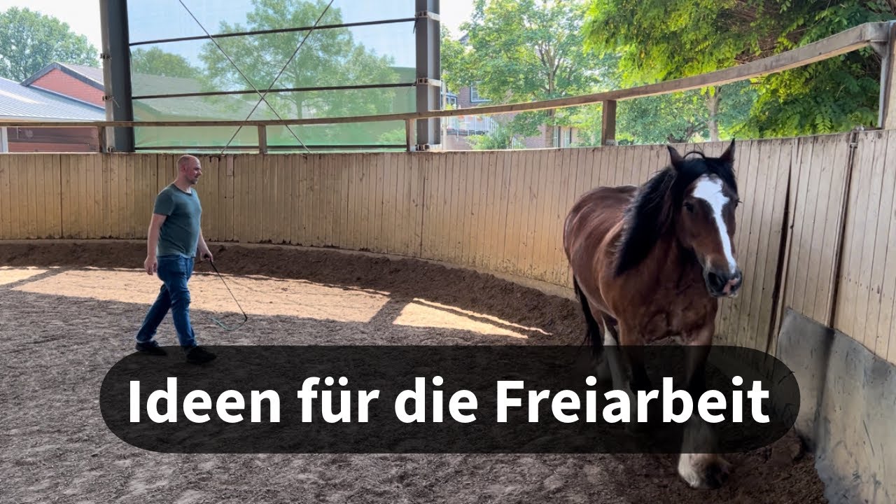 Ideen für die Freiarbeit