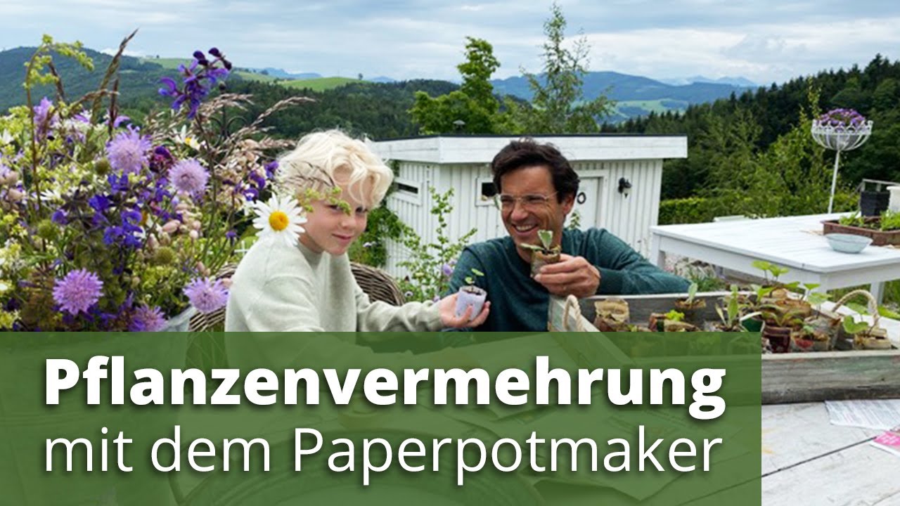 Blumenwiesenpflanzen selber vermehren