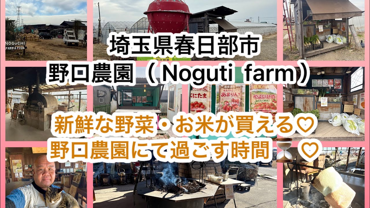 春日部 野口ファーム（ 野口農園 ）さんにて過ごす、まったり♡と過ごす時間⏳♡ 