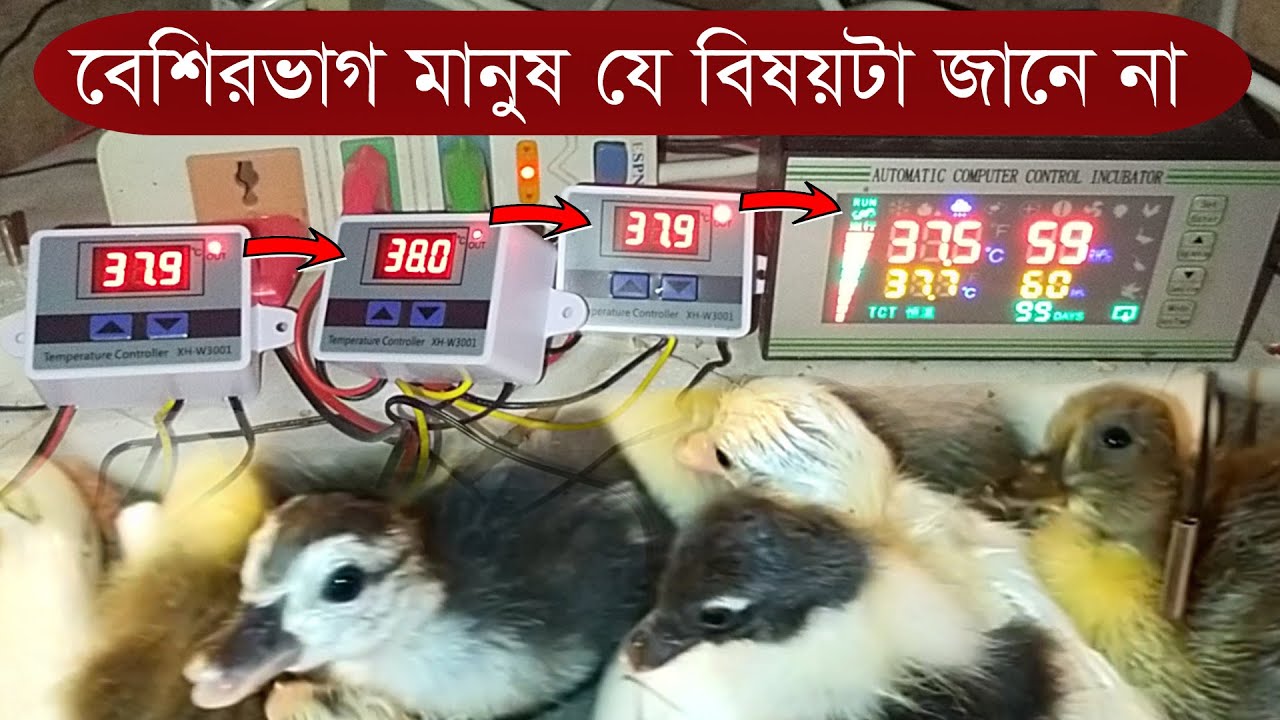 XH-W3001 সার্কিটে তাপমাত্রা সেট করার সঠিক পদ্ধতি |  Mamun Hasan. Vlogs @mh.v