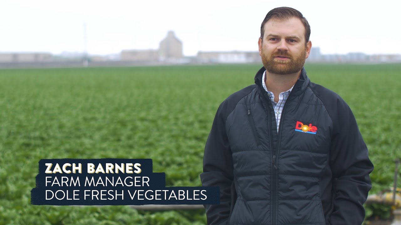 Farming the Future: Harvesting Data on Blockchain