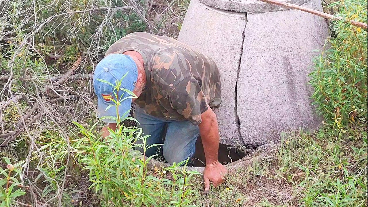 Me acabo de encontrar un cordero caío en un pozo, está vivo de milagro