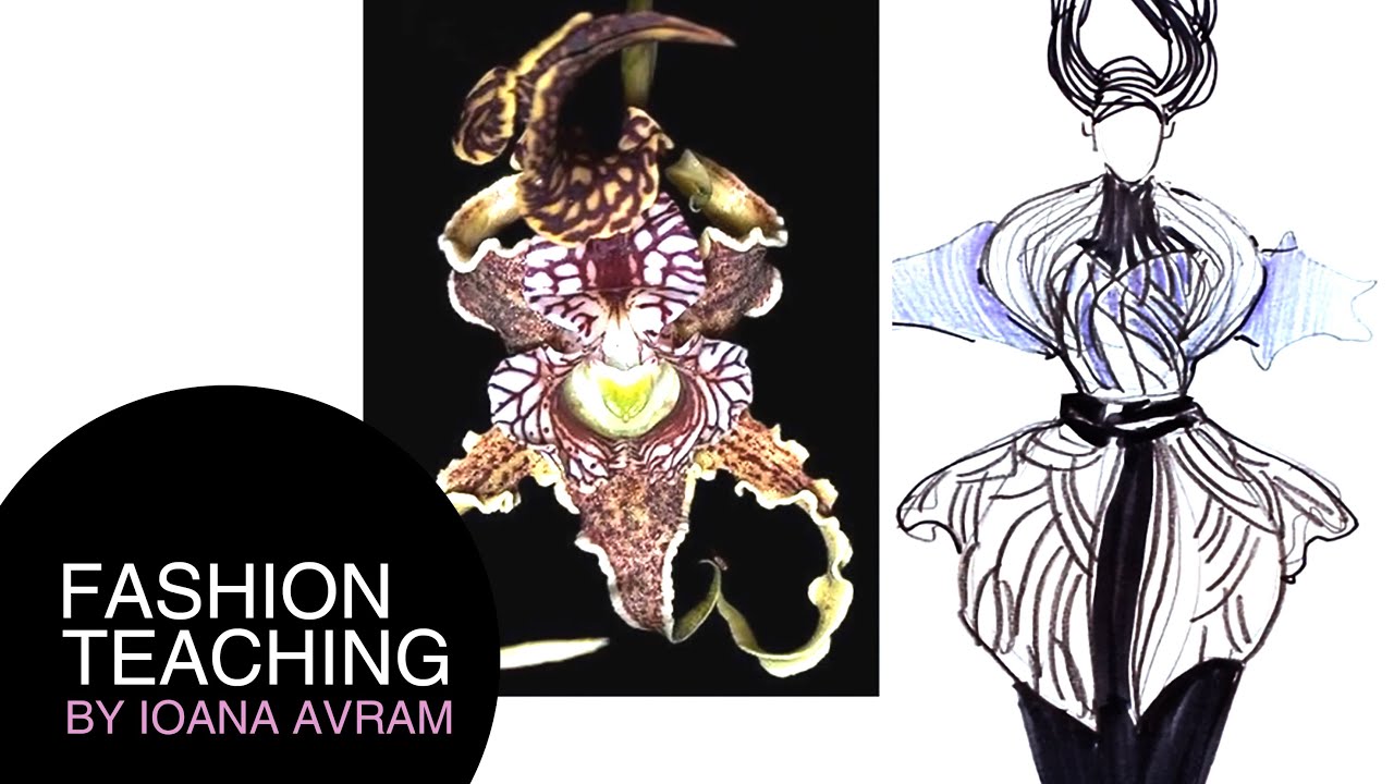 Fashion collection concept ideas