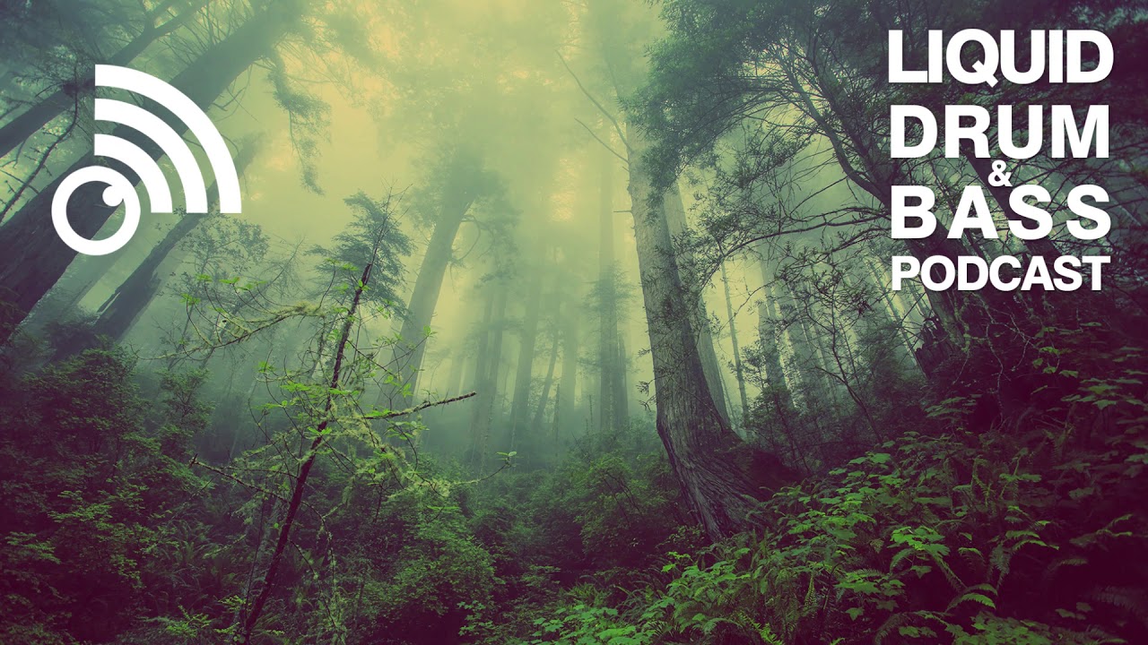Liquid Drum & Bass Podcast 2019 #064