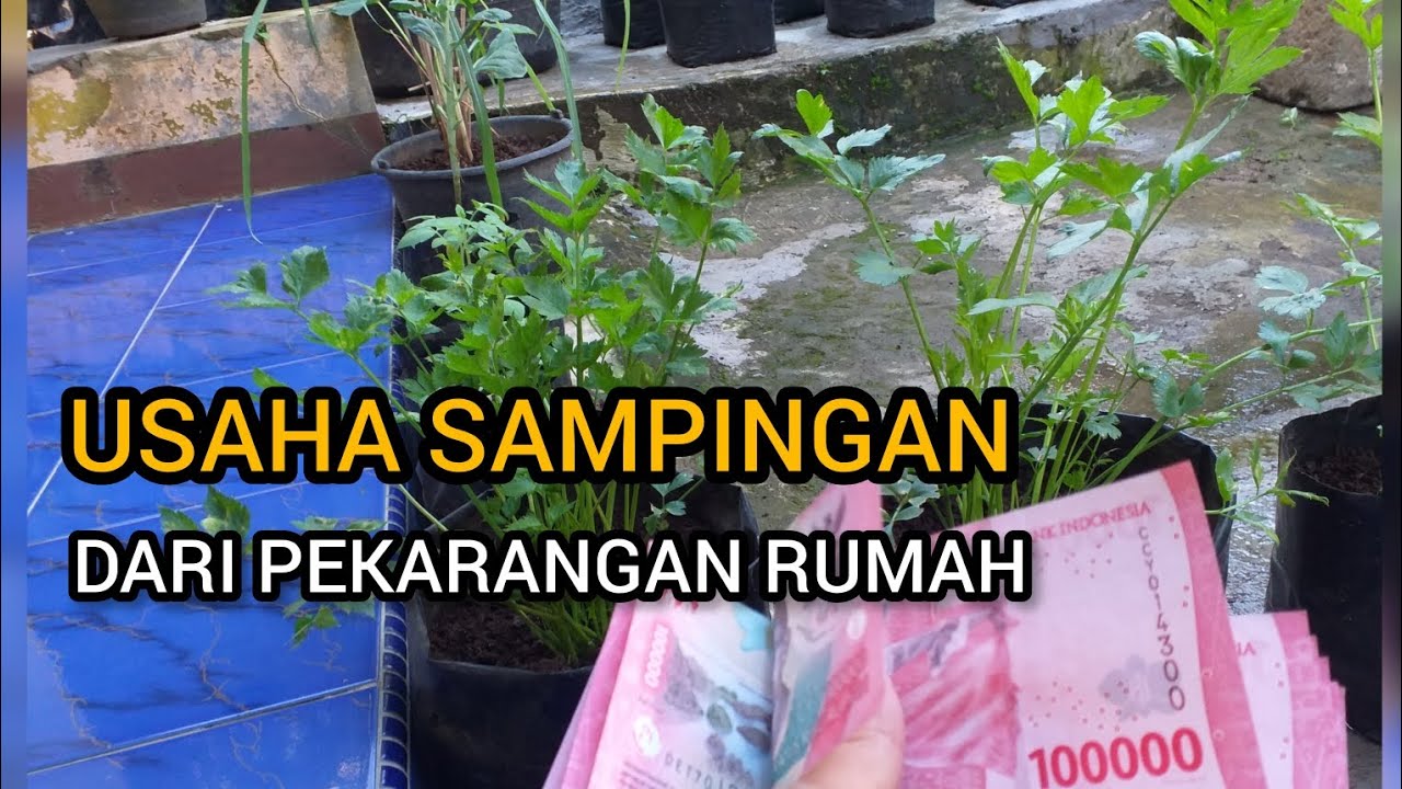 MENAMBAH PENGHASILAN DARI PEKARANGAN RUMAH
