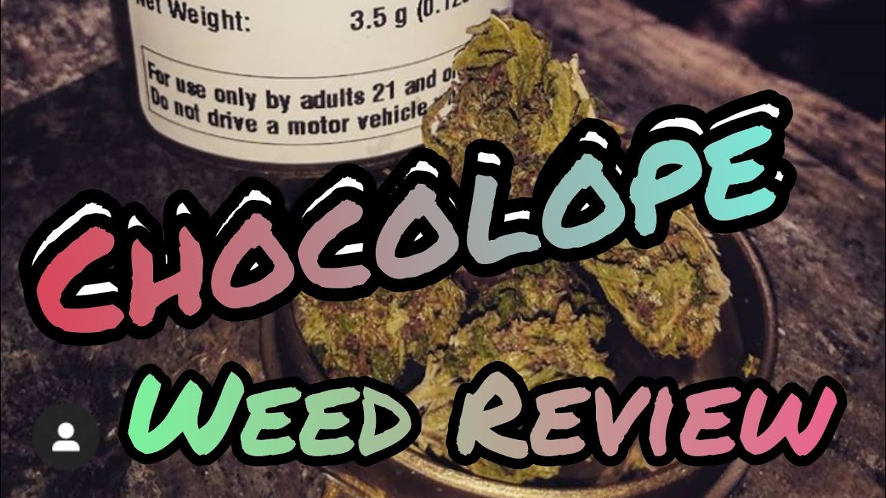 Sativa Strain Review- Chocolope