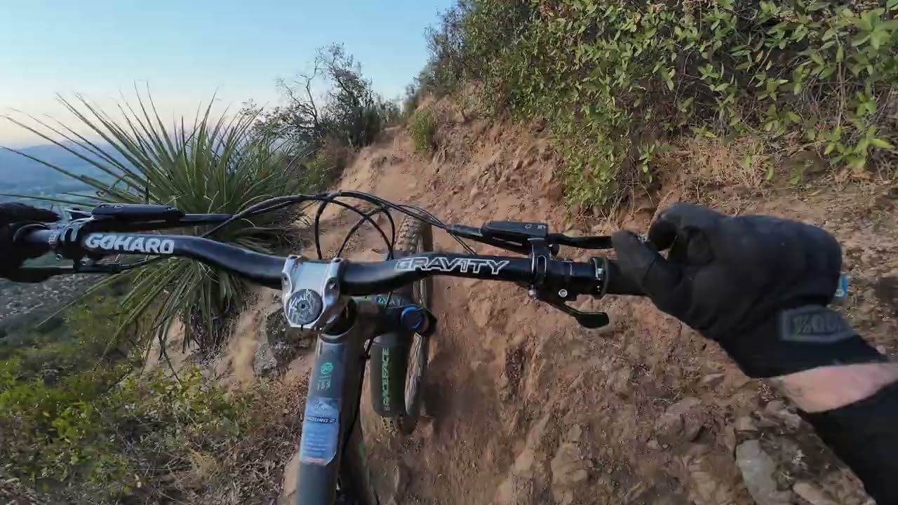 Dh la santa 