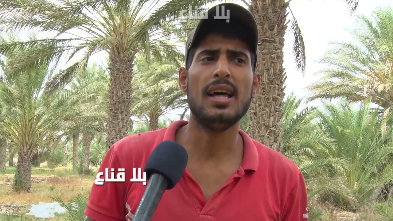 bila kinaa | !! شباب قبلي يبحث عن الحرقة..حياتنا مرهونة بالتمور واللاقمي فقط..حتى الخدمة بالأكتاف