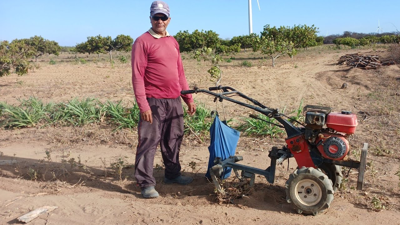 TRATORITO A GASOLINA MOTOR BRANCO 7.5 HP