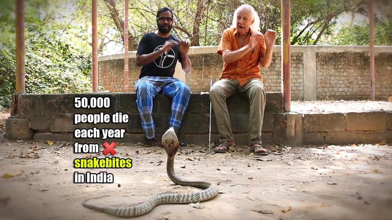 How to Live With Snakes: Wilbur Sargunaraj at the Madras Crocodile Bank