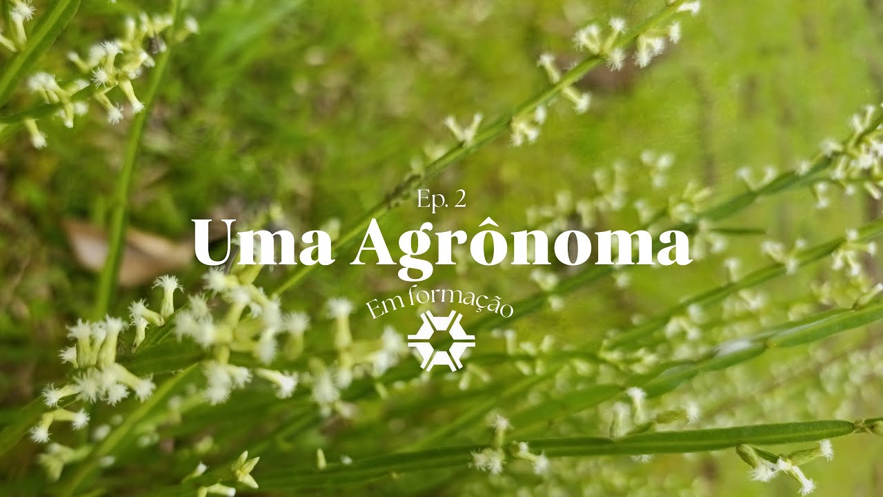 Uma agrônoma em formação #2 🌱