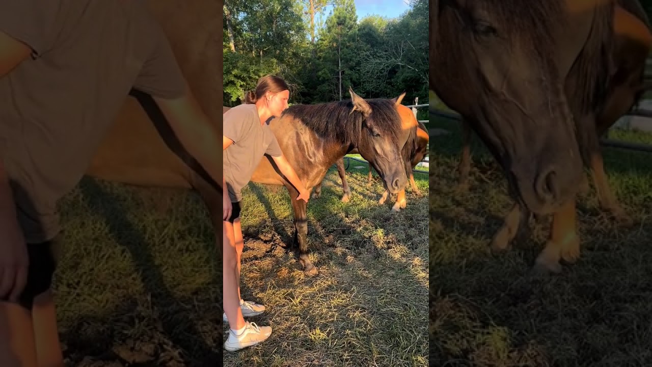 #deafcowgirl #horse #deafkids #foryou 