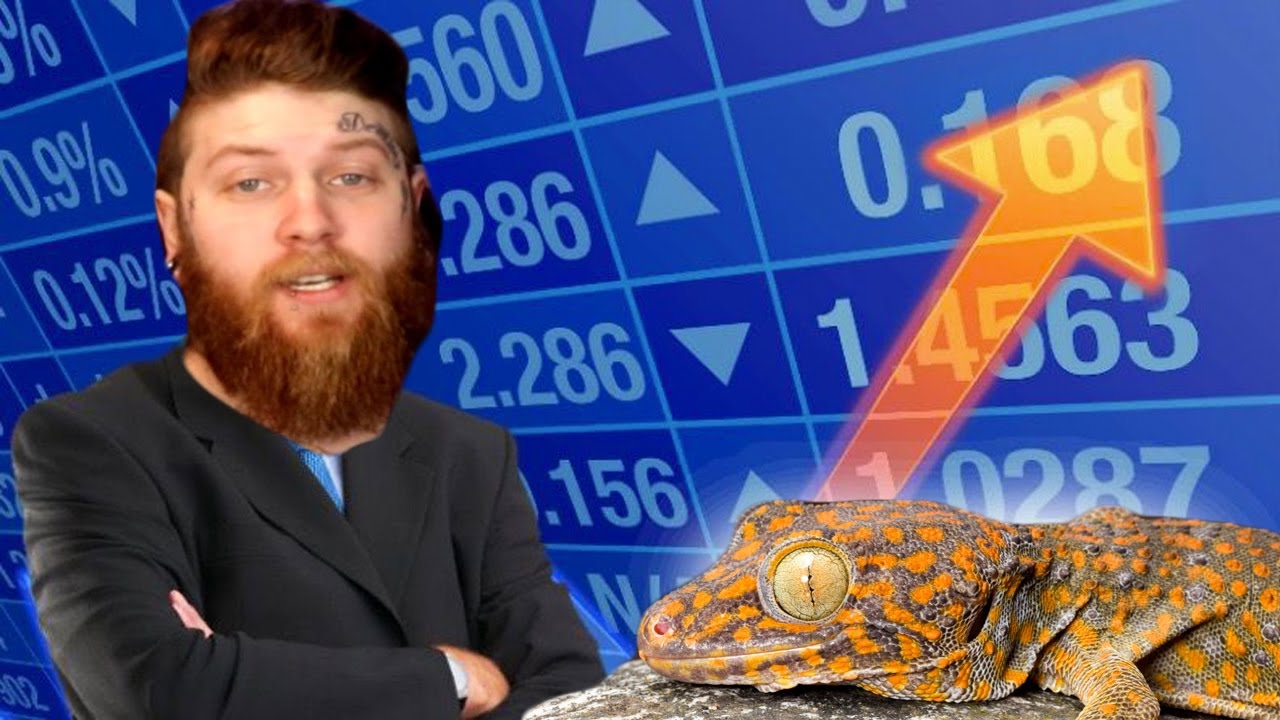 Man Makes Full Time Reptile Career With $200 HERES HOW!