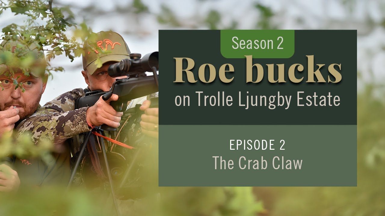 The Crab Claw | Roebuck Hunting at Trolle Ljungby Estate