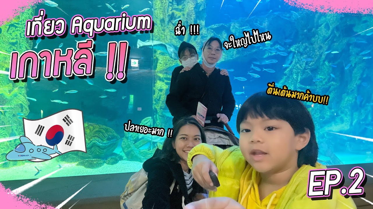 พี่เกลือไปทำอะไรที่เกาหลี 🇰🇷 ??? EP.2 | VogVlog