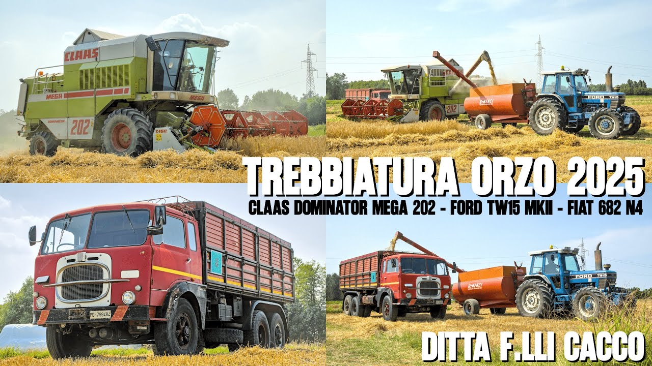 Trebbiatura orzo 2025 | Claas Dominator Mega 202 | Ford TW15 MKII | Fiat 682 N4 | Ditta F.lli Cacco