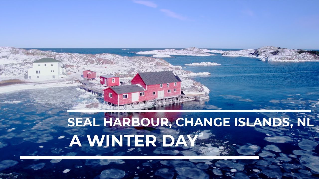 A Winter Day, Seal Harbour, Change Islands, NL