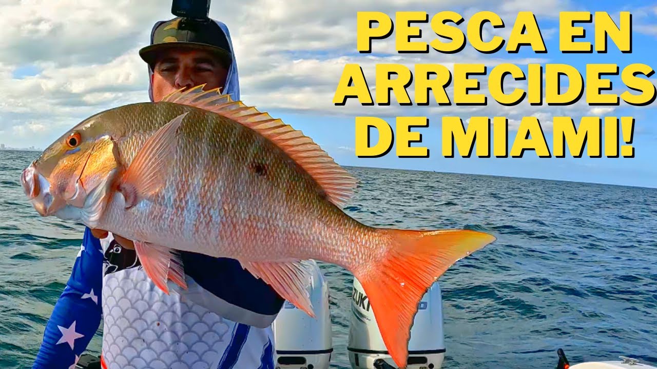 PESCA EN MIAMI DE PARGO Y PELAGICOS EN ARRECIFES !