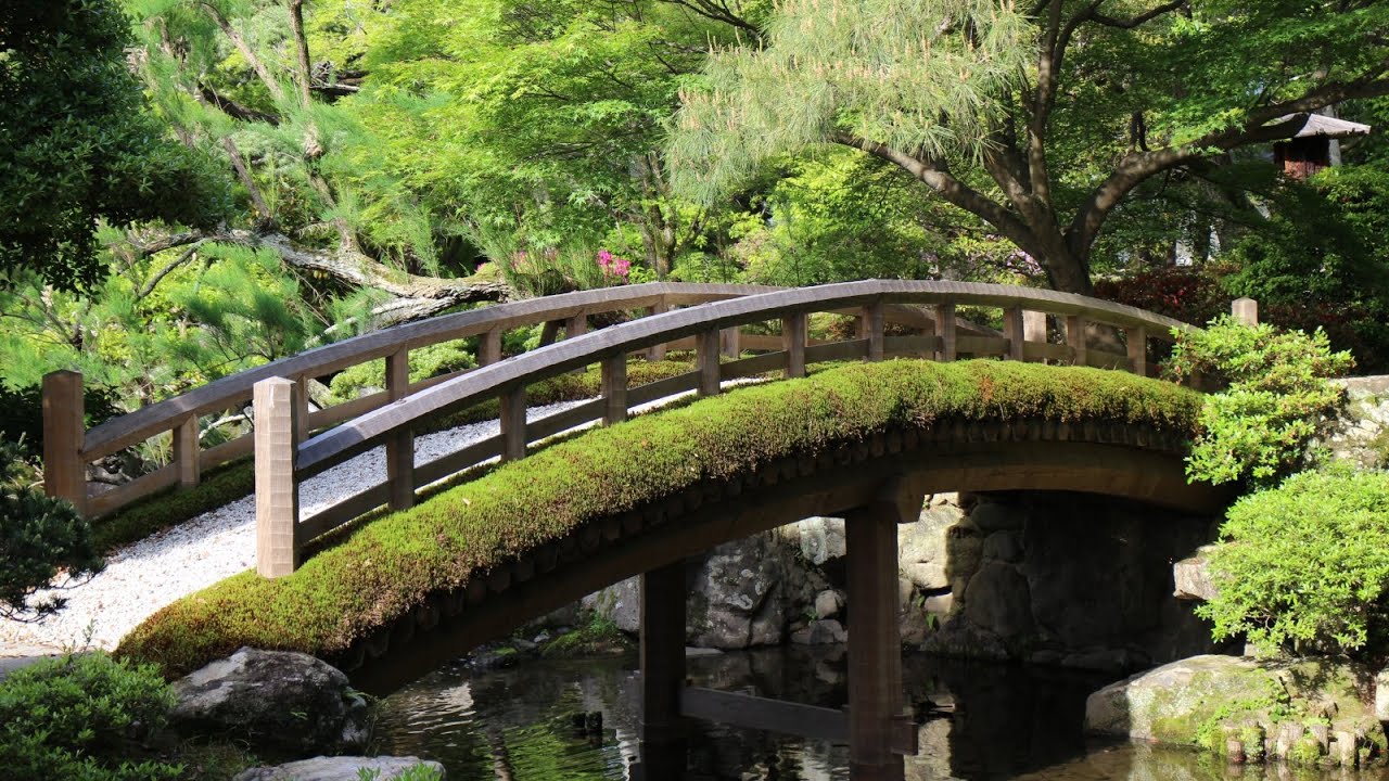 [4k, Silent] Japanese garden in Kyoto Imperial Palace (Photo Slideshow)