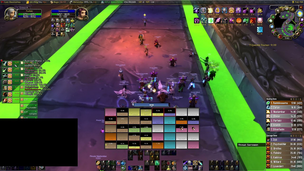 WoW Classic Naxx Holy Paladin POV