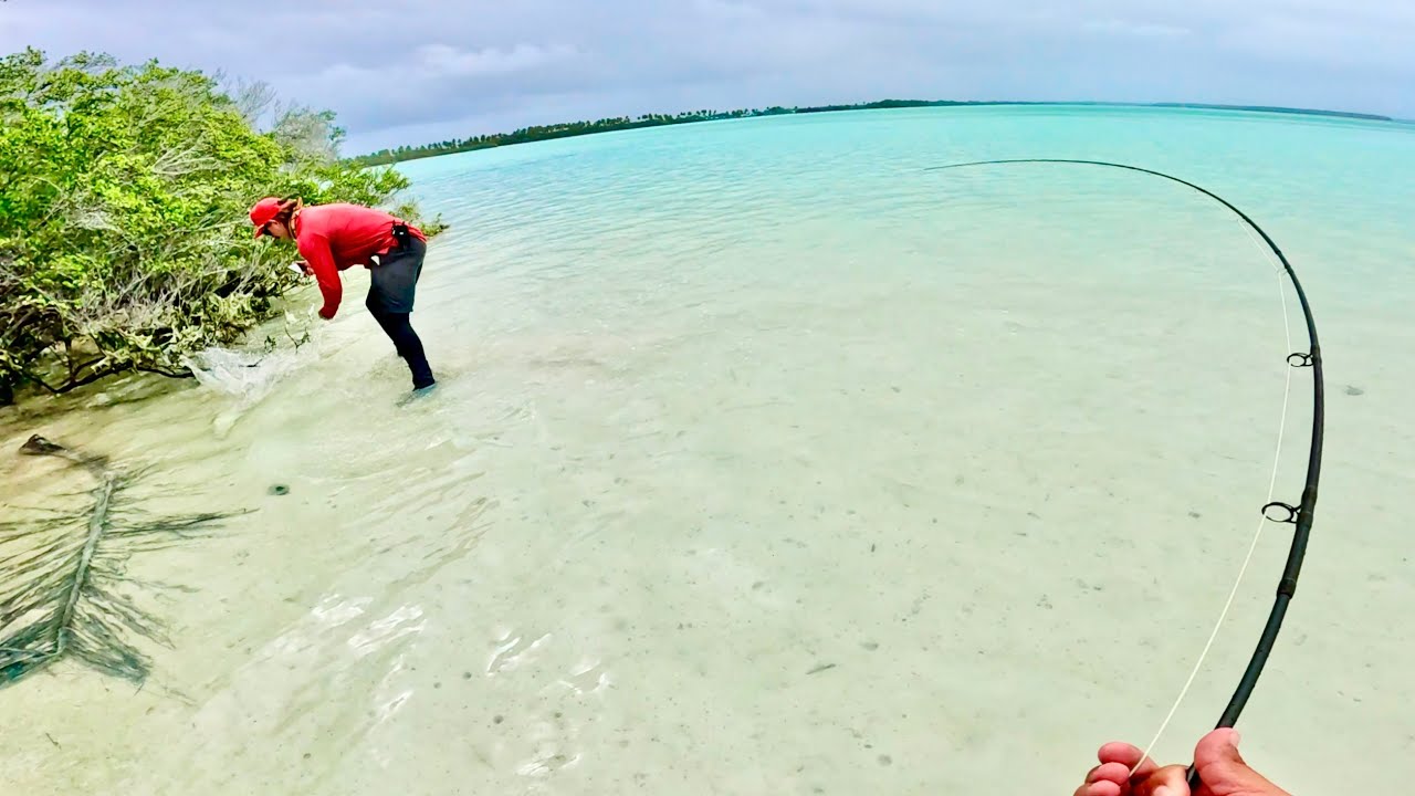 Big Fish in Shallow Water