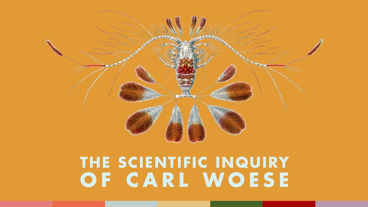 The Scientific Inquiry of Carl Woese