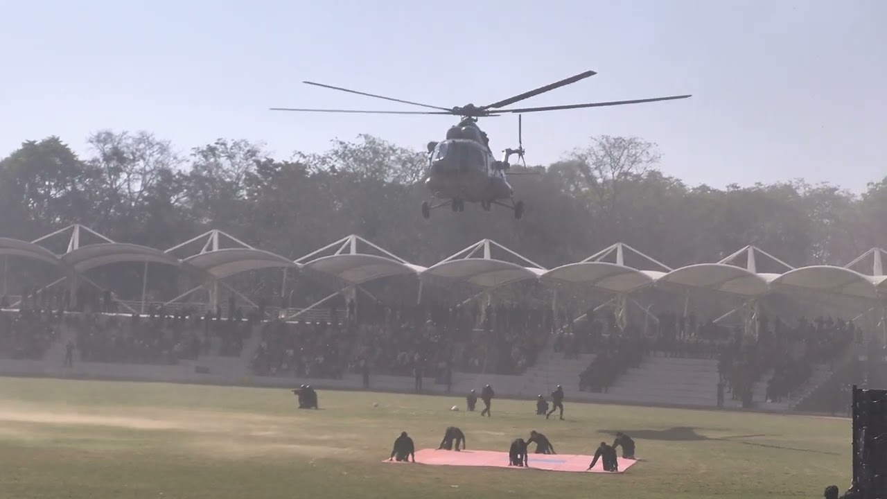 NSG commando 