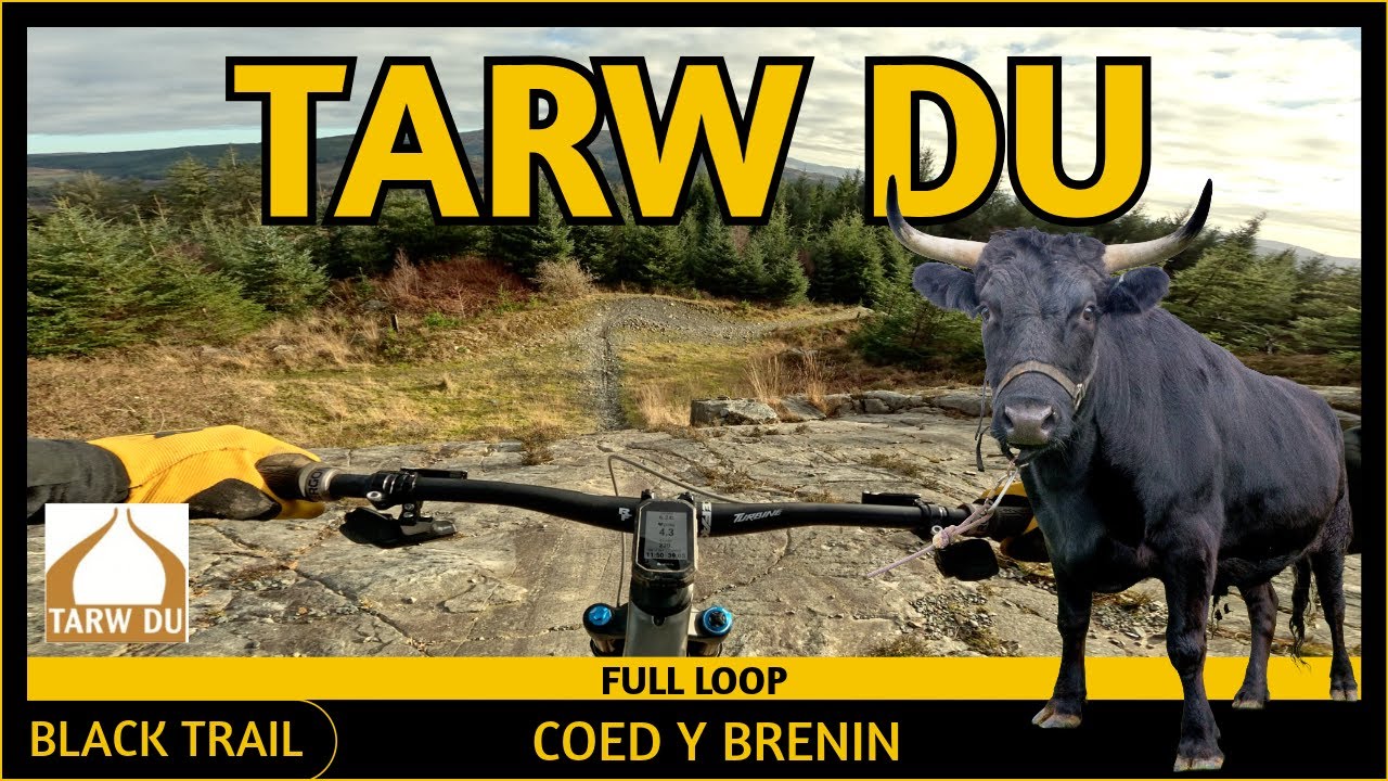 Tarw Du (Black) **FULL LOOP** - Coed Y Brenin - Wales - Dec '25