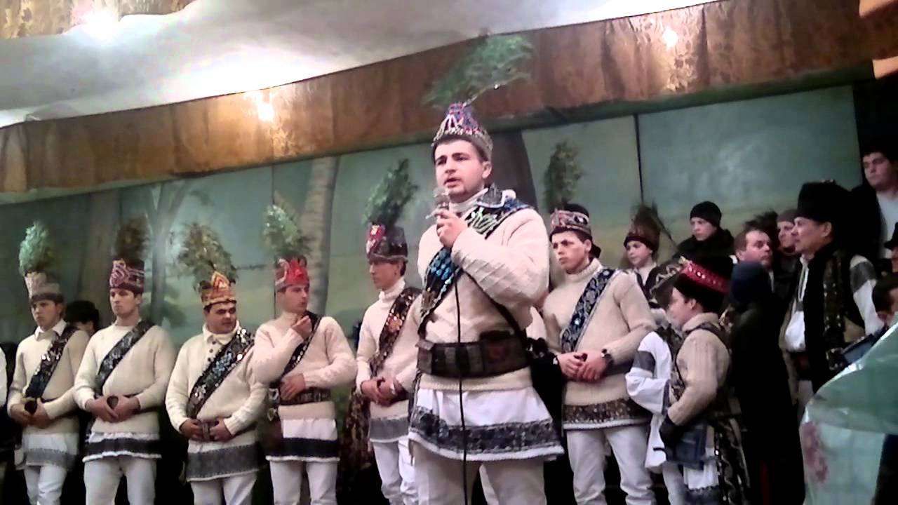 paduretu partesti de jos  2011