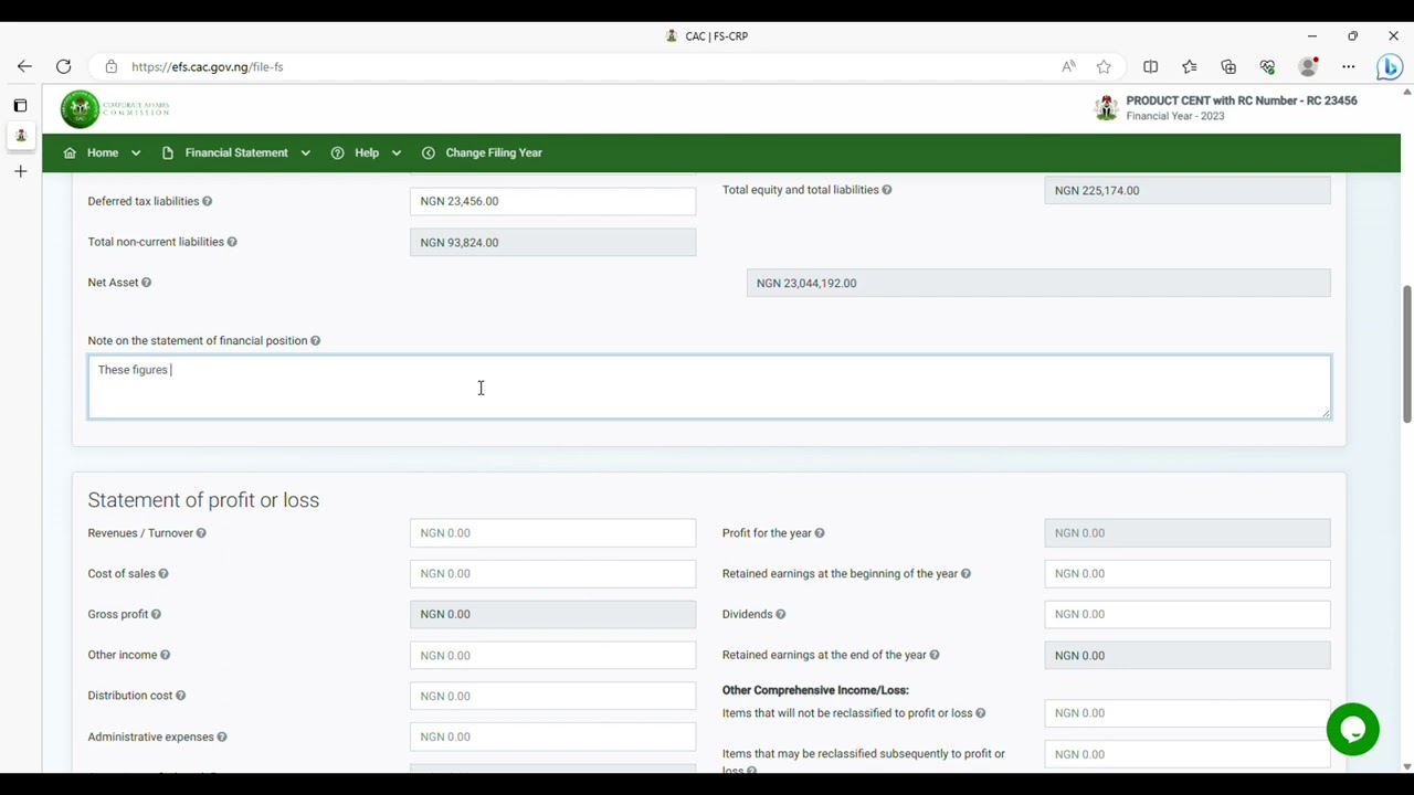 How to file a Financial Statement (CAC-EFS)