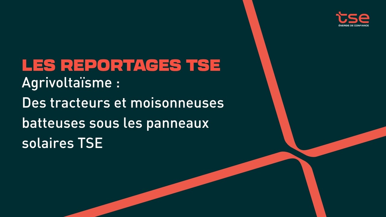 Agrivoltaïsme - Des tracteurs et des moissonneuses batteuses sous les panneaux solaires TSE