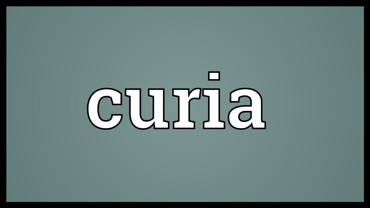 Curia Meaning