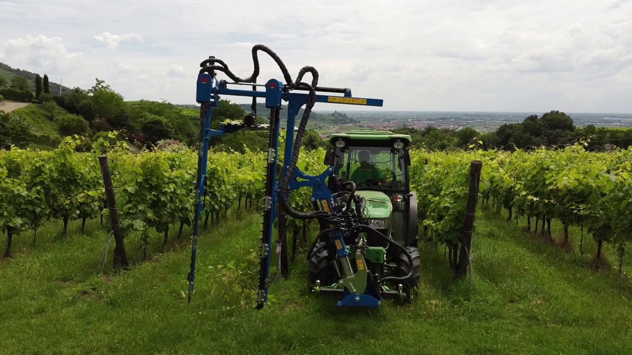 Vine Trimmer BiF2/C - Cimatrice BiF2/C