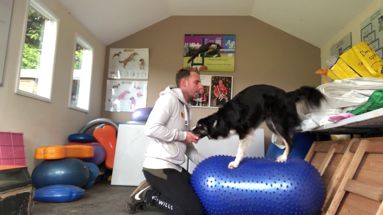 Core strength exercises