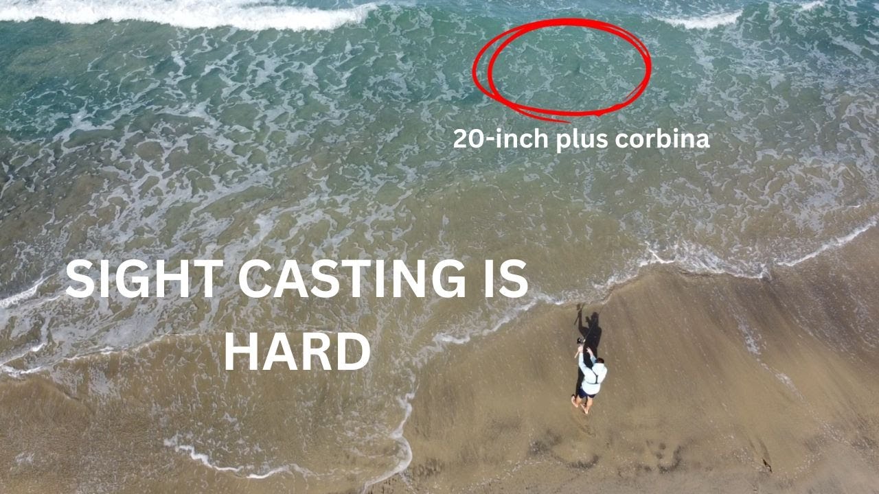 Sight Casting for Corbina - Catching Something Else
