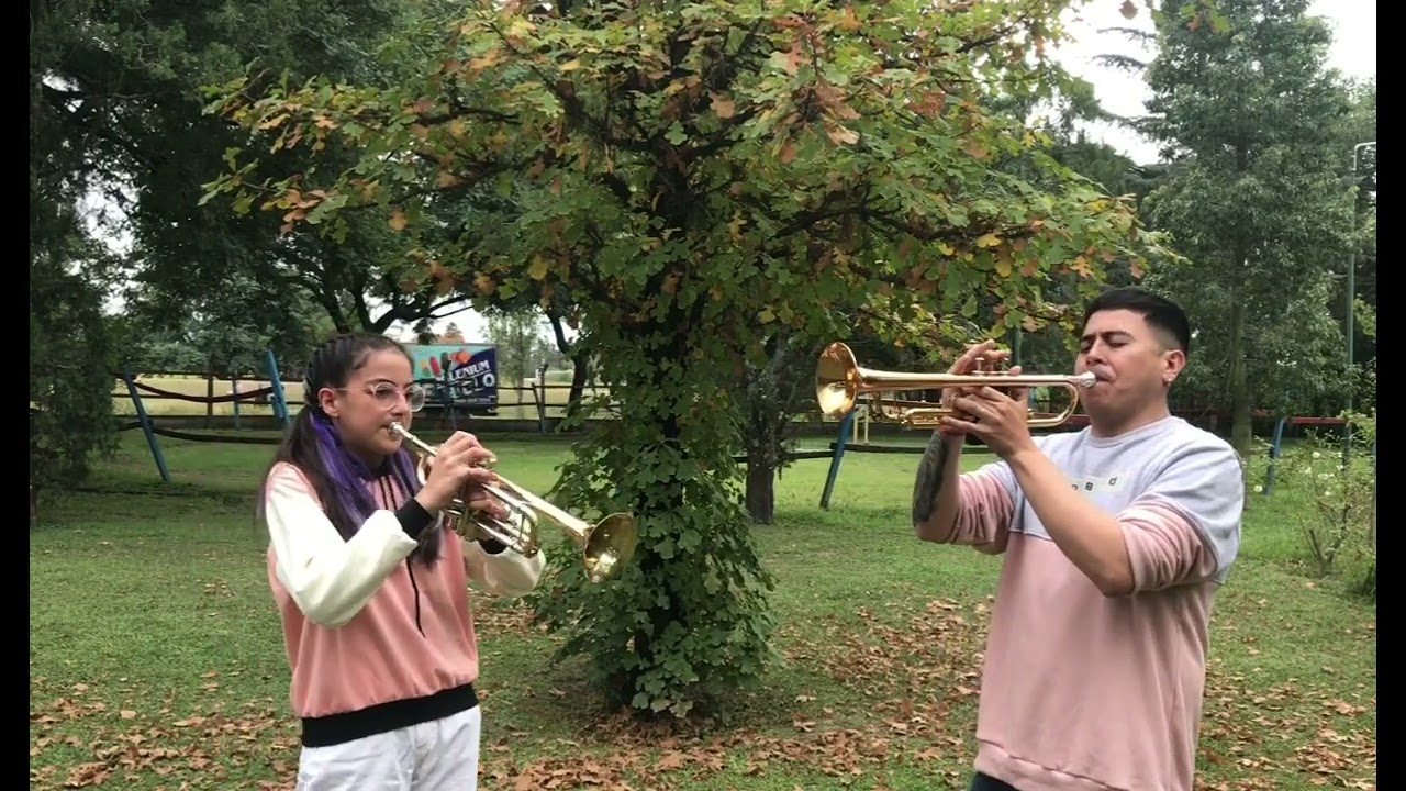 Como te extraño - Leo Dan Cover Trumpet