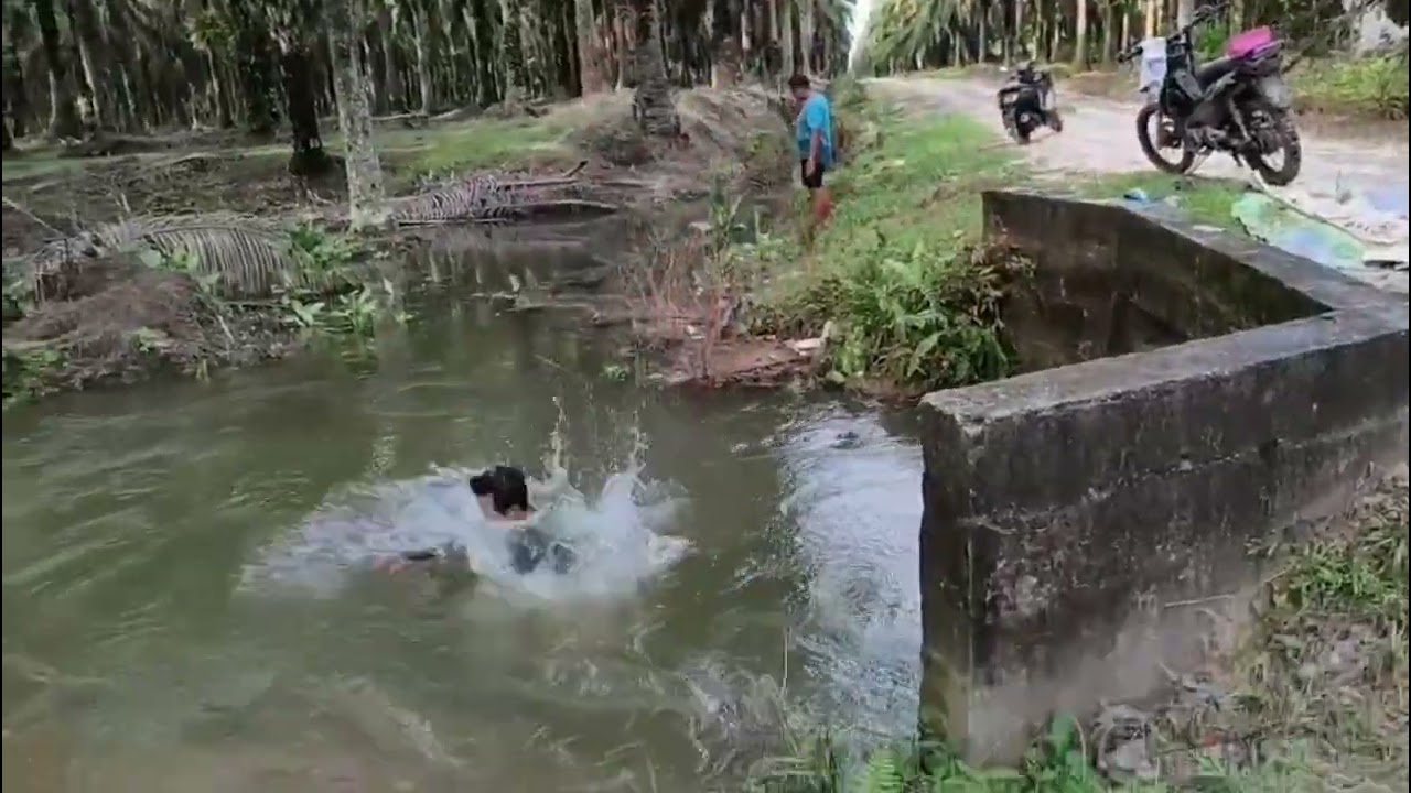 CERITA DI SORE HARI MANDY-MANDY DI SUNGAI