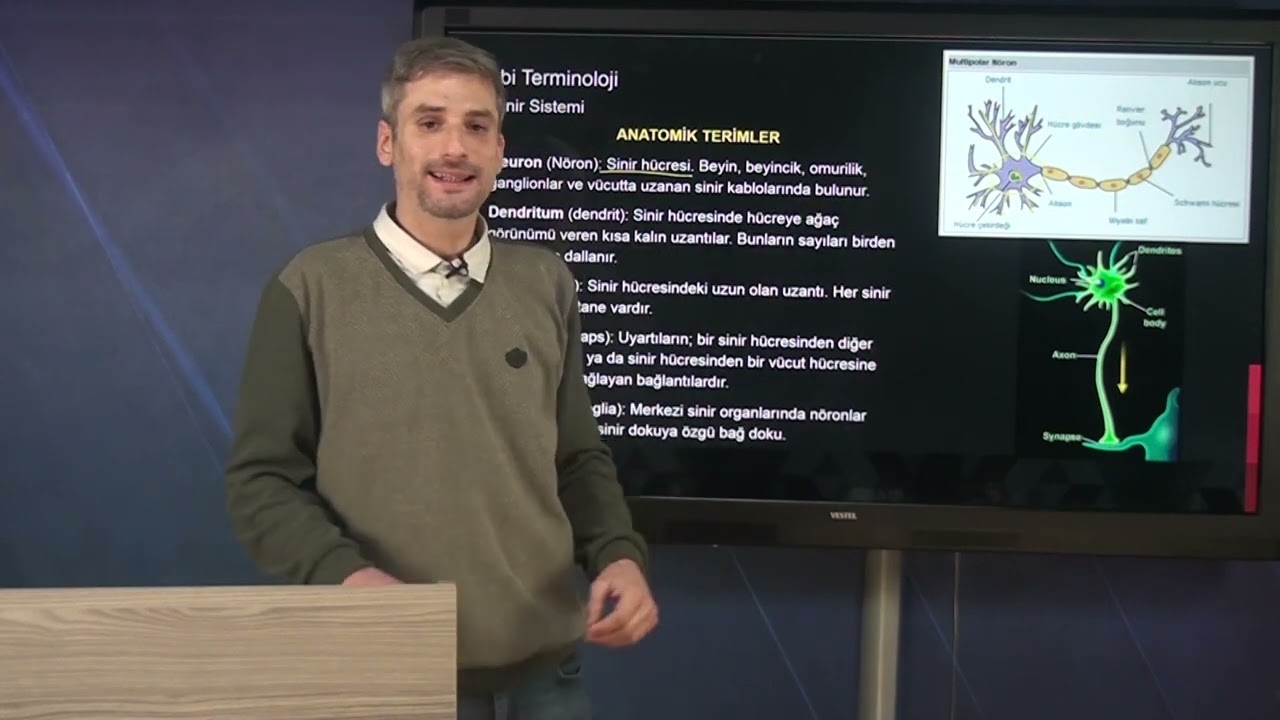 Tıbbi Terminoloji SİNİR SİSTEMİ Konu Anlatımı (Tek Part) / Raif Mert ESEN - AKADEMİ UZEM