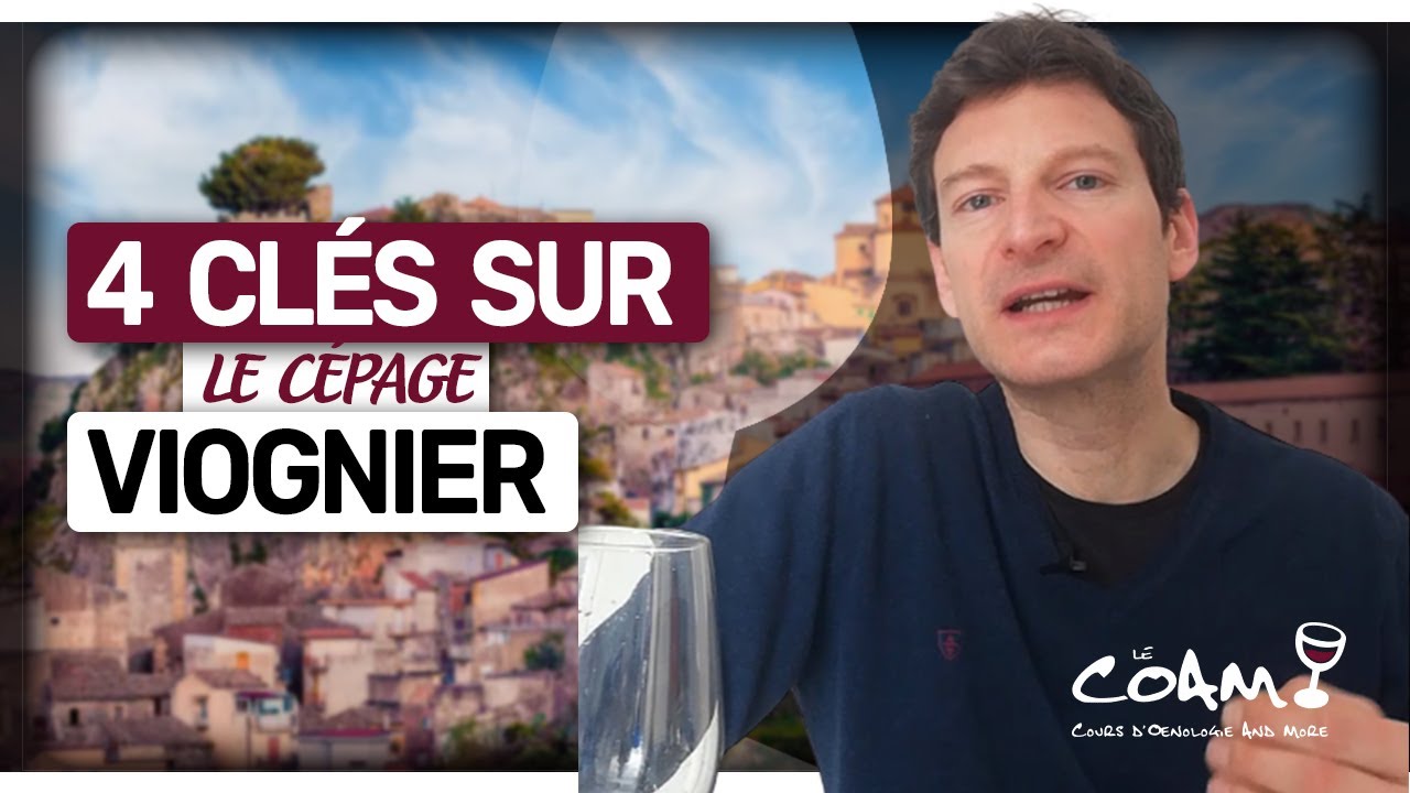 4 clés pour reconnaître le cépage VIOGNIER (leçon n°86)