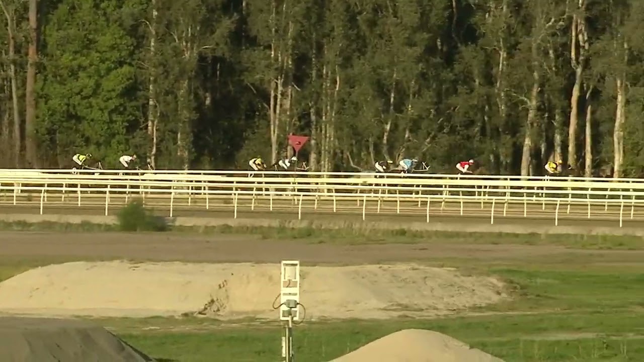 Wyong Cup 2024 - LION'S ROAR (3YO+ Qlty LR) Listed Wyong 6 September