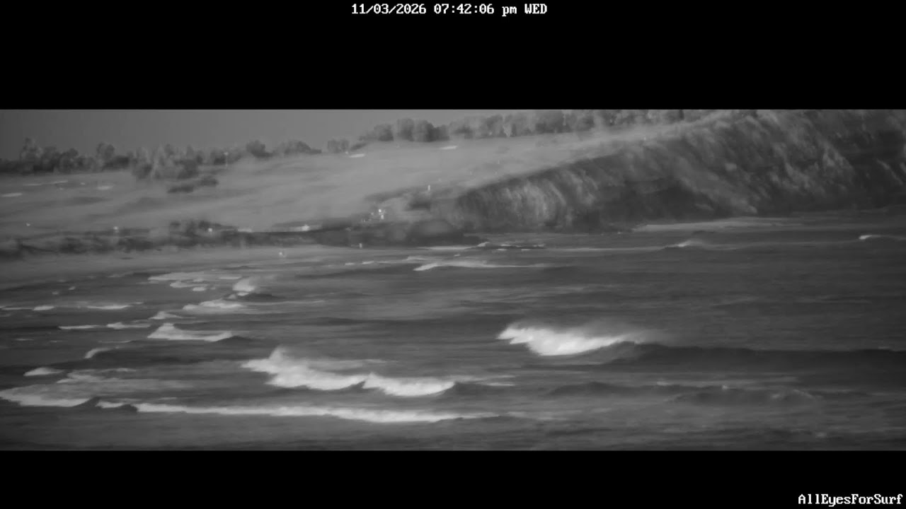Dee Why and Long Reef Surf cam 11/03/26