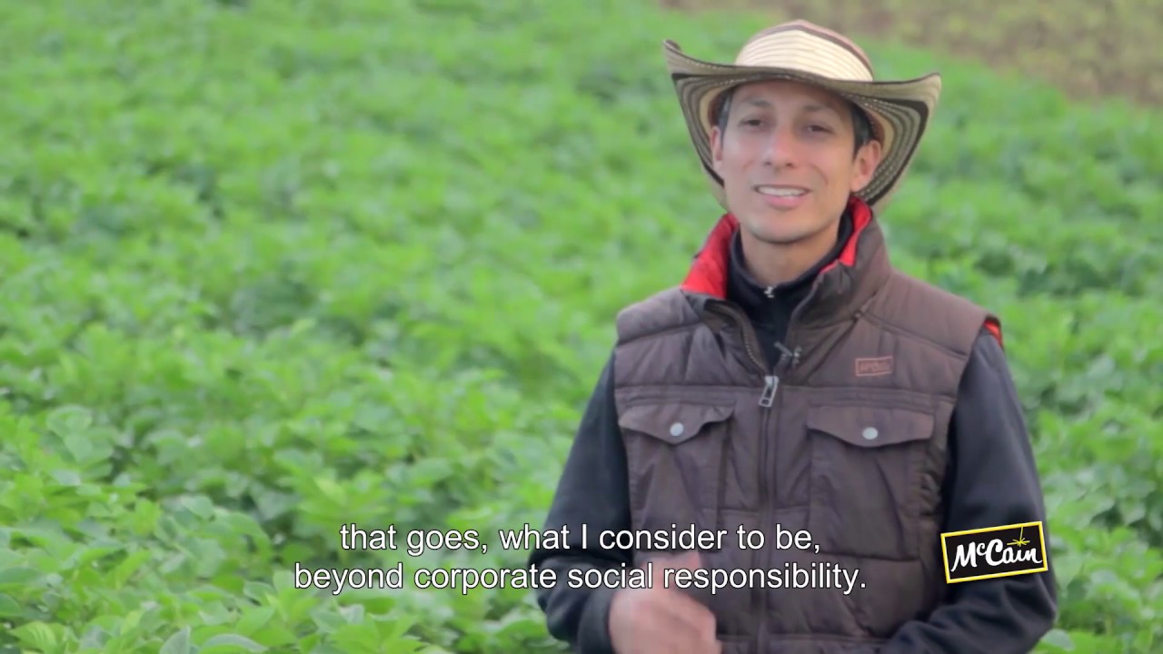 Campo Vivo | Sustainability at McCain Foods