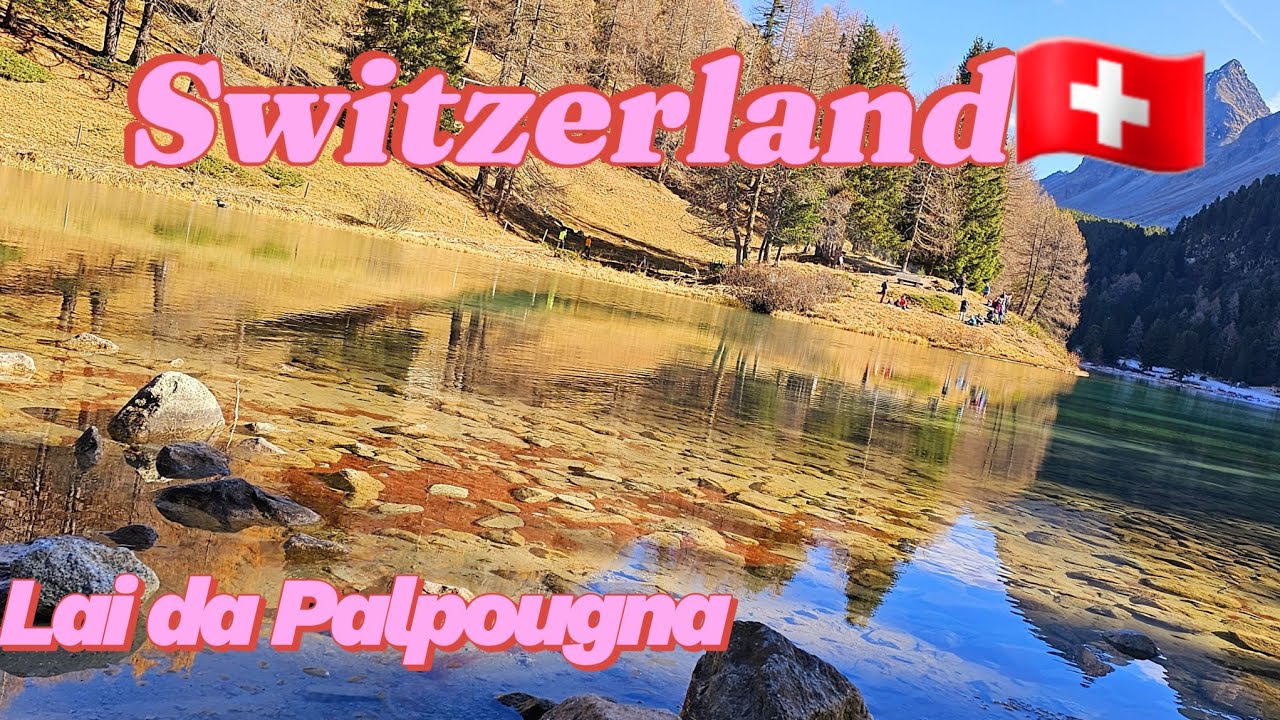 Switzerland /Lai da Palpougna is a mountain lake at Albula Pass @WannafeelFamily 🇨🇭